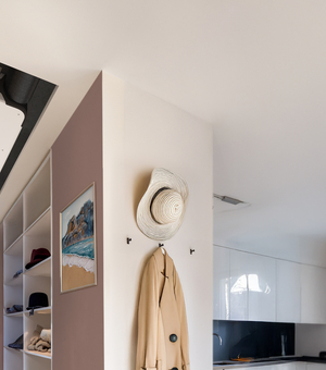 Zehnder EVO 3 